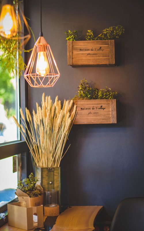 pexels-valeria-boltneva-1129413